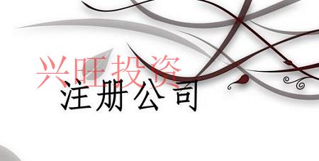 廣州市注冊有限責(zé)任公司