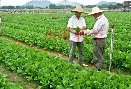 綠色生態(tài)農(nóng)業(yè)公司怎么起名