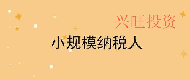 小規模納稅人如何報稅?