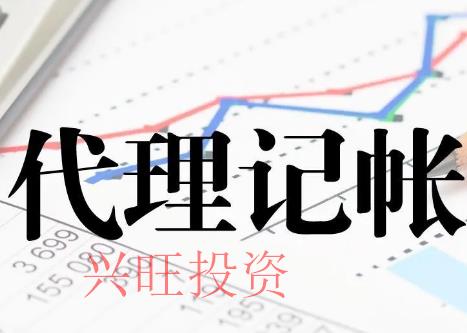財(cái)務(wù)代理記賬