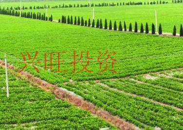注冊一家農業公司