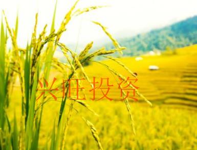 農業公司條件