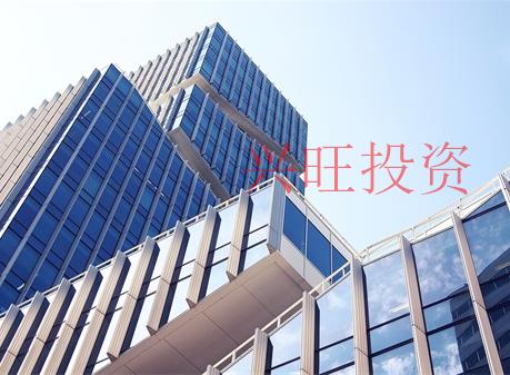 內資公司