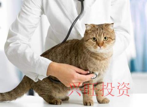 注冊寵物醫(yī)院